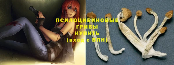 спайс Алексеевка