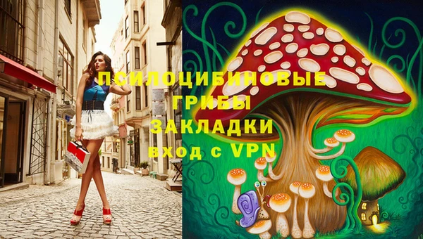 спайс Алексеевка