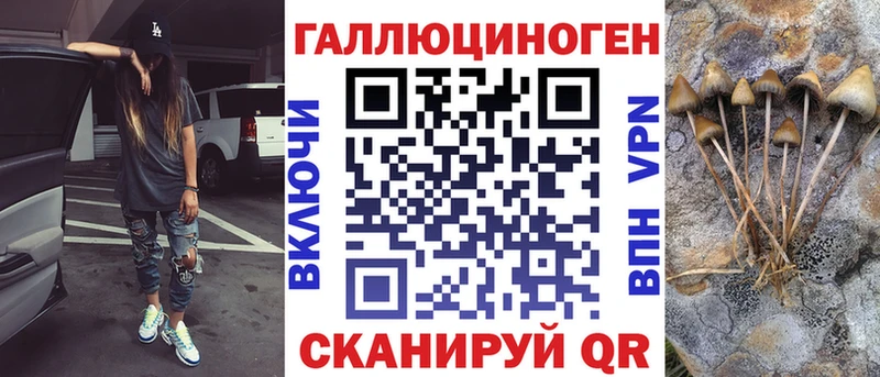 hydra как зайти  Чадан  Псилоцибиновые грибы ЛСД 